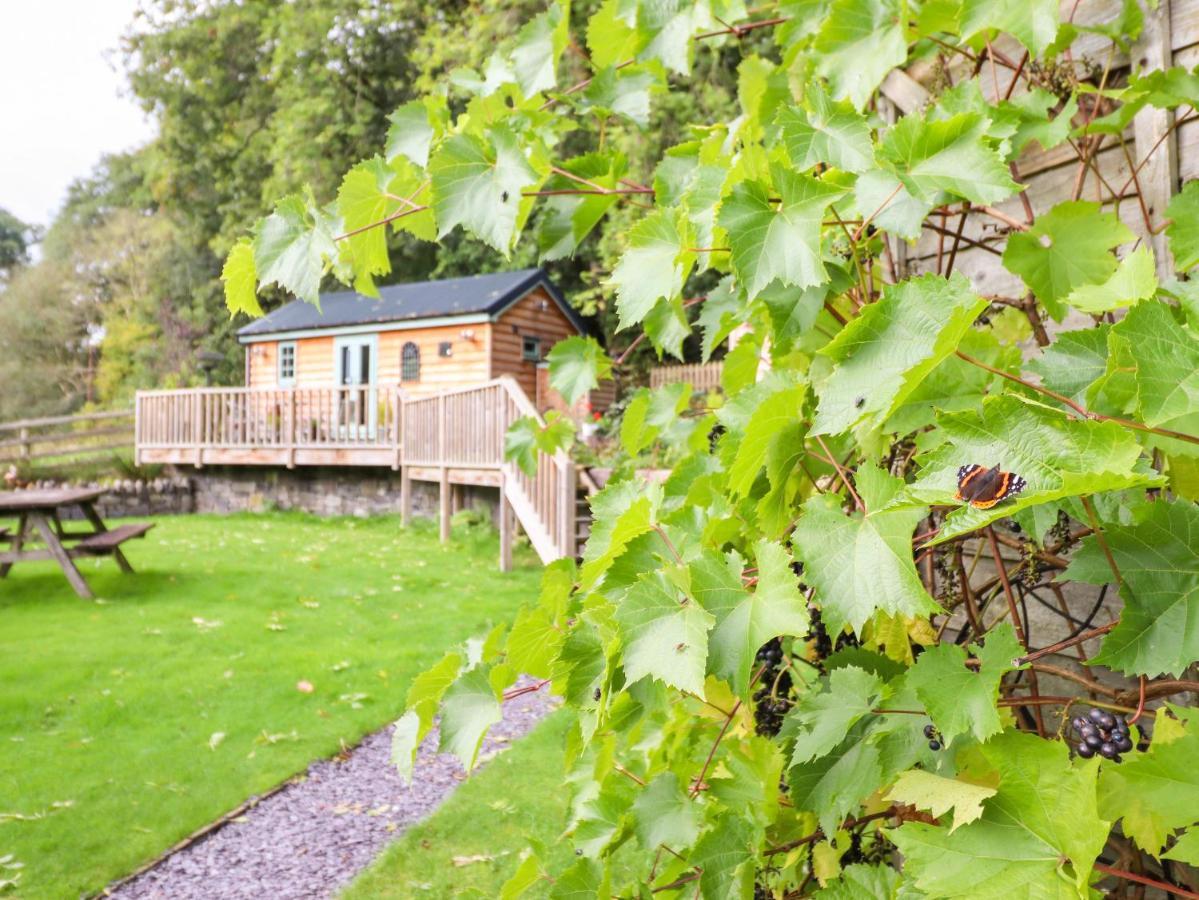 Chateau Petit Caersws Eksteriør billede